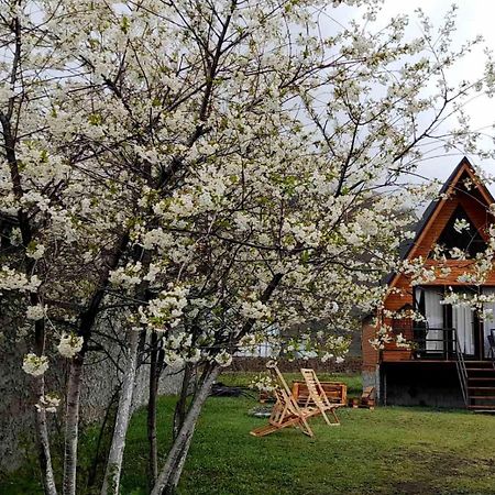 Апартаменти Thomas' Hut Степанцмінда Екстер'єр фото
