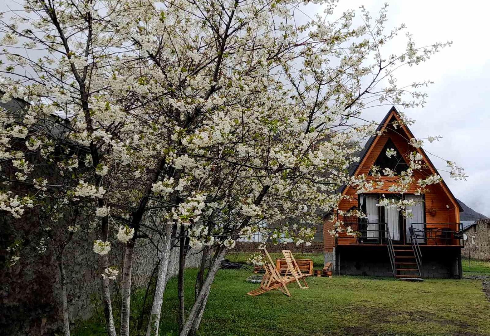 Апартаменти Thomas' Hut Степанцмінда Екстер'єр фото